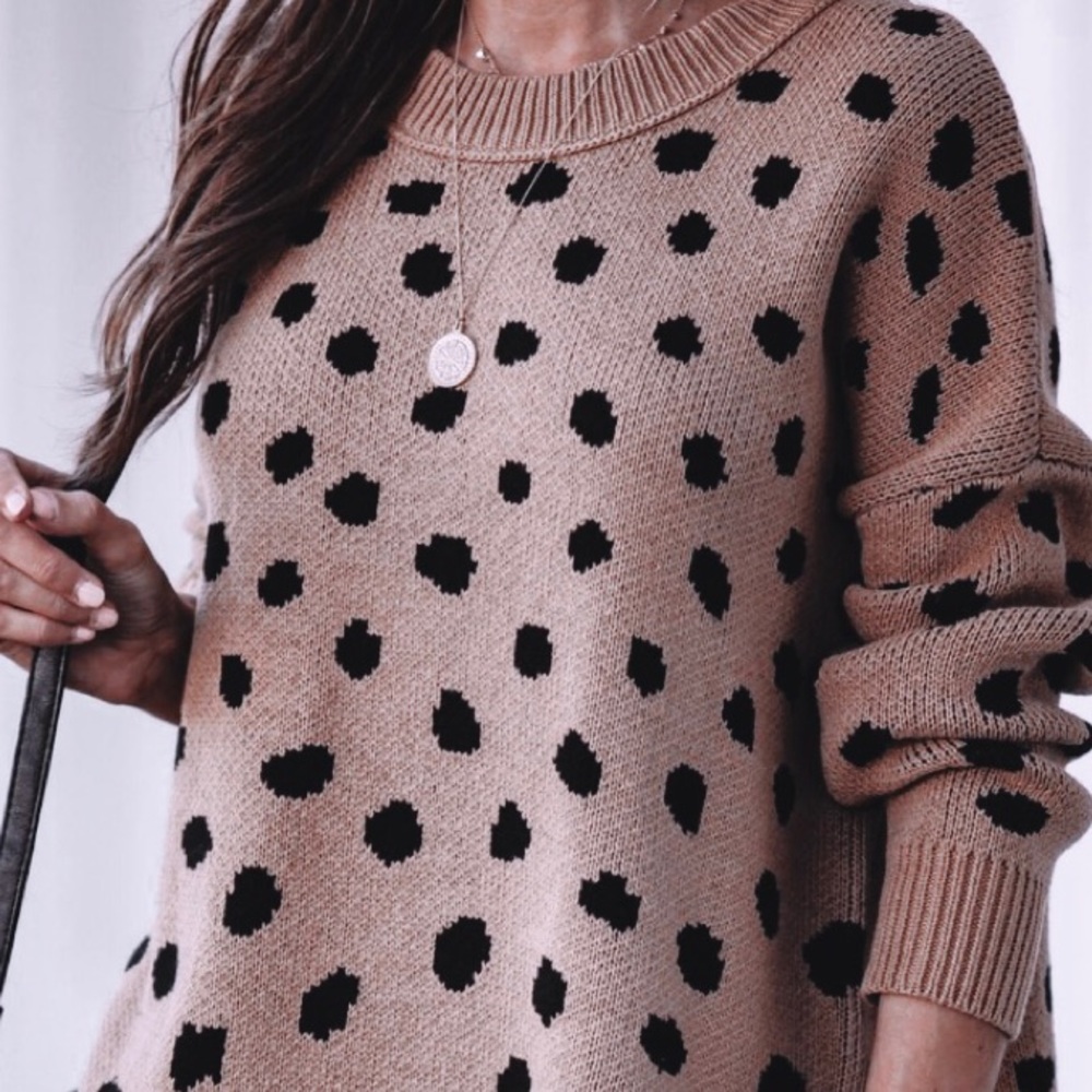 Vici Leopard Spotted Sweater